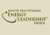 Energy Leadership Index